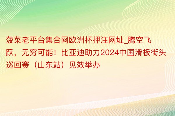 菠菜老平台集合网欧洲杯押注网址_腾空飞跃，无穷可能！比亚迪助力2024中国滑板街头巡回赛（山东站）见效举办