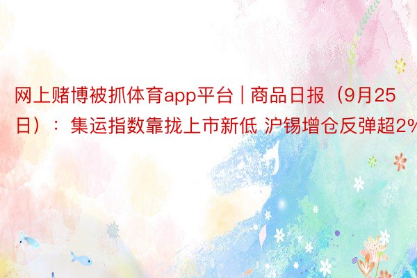 网上赌博被抓体育app平台 | 商品日报（9月25日）：集运指数靠拢上市新低 沪锡增仓反弹超2%